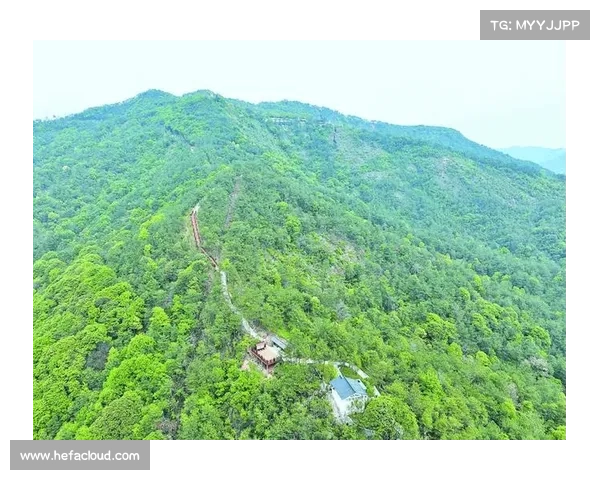 远山山庄探秘指南:打卡仙境般胜景 远山山庄探秘指南:打卡仙境般胜景